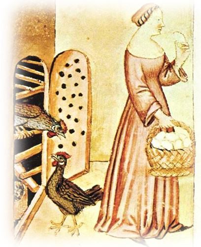 cucina-uova-tacuinum-sanitatis-casanatense-4182-2